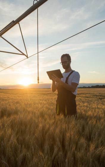 Farmer in a wheat field at sunset