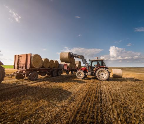 Tractor loading round bales onto a trailer