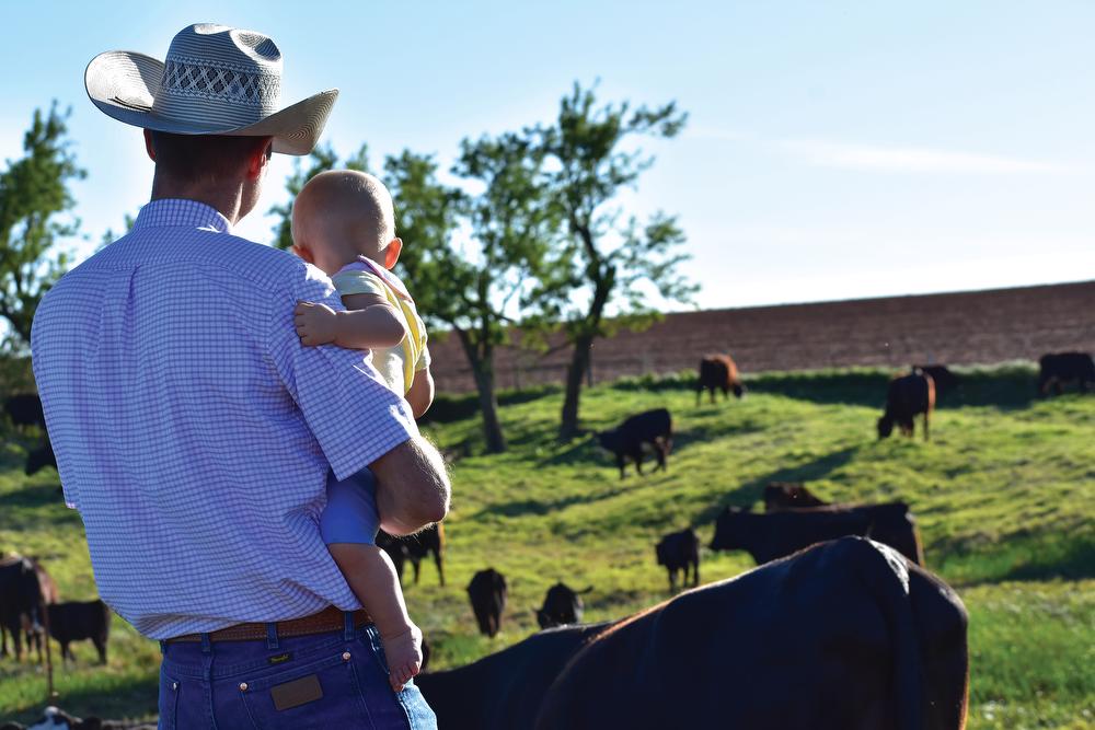 Farmer holding his infant daughter, looking at cows