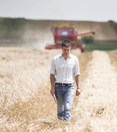 Farmer walking through a wheat row
