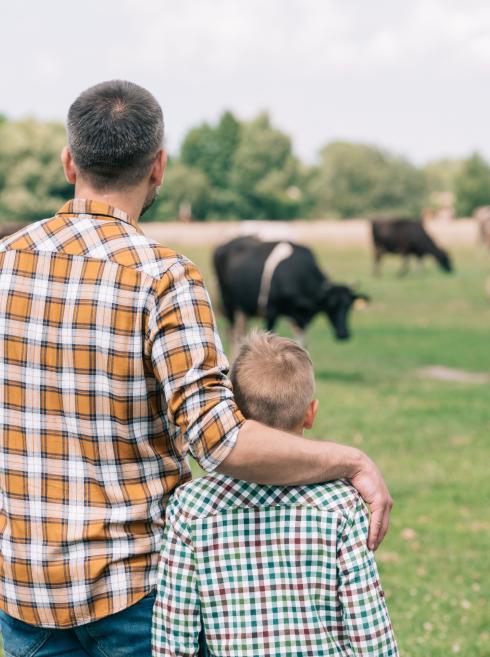 Father and son farmers looking at cattle grazing in a field