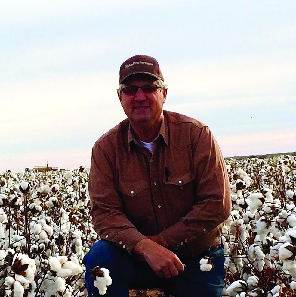 Roger Fischer in a field of cotton