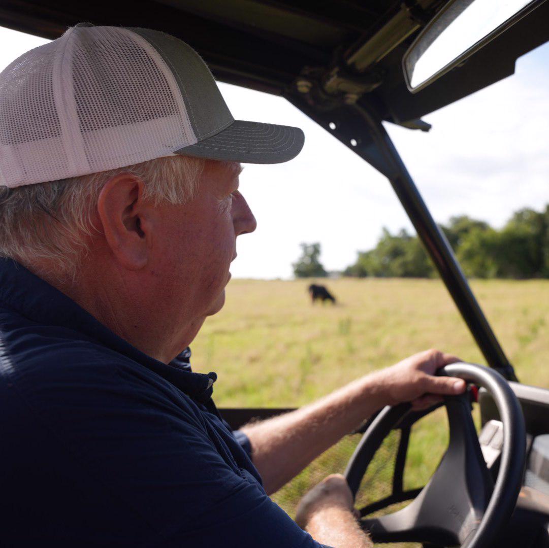 David Dolch checking cattle