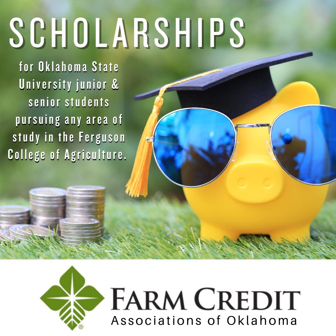 scholarships